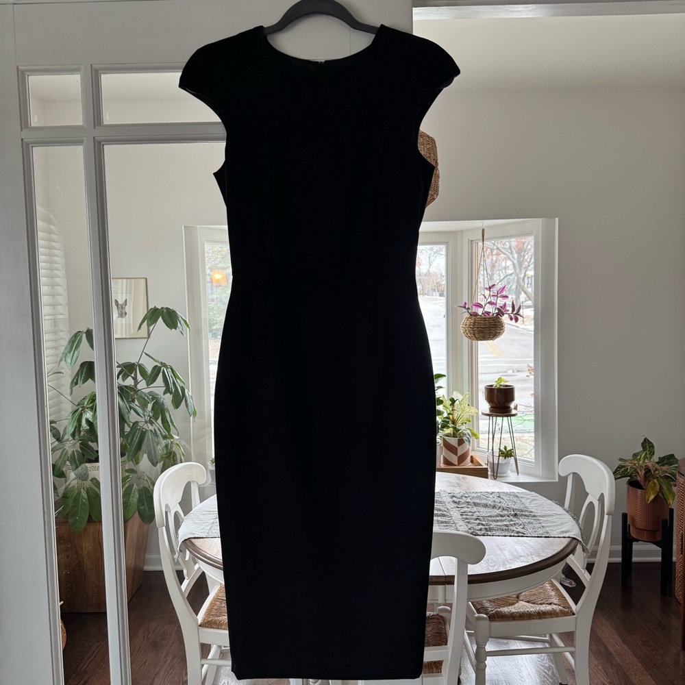 Zara Fitted Dress